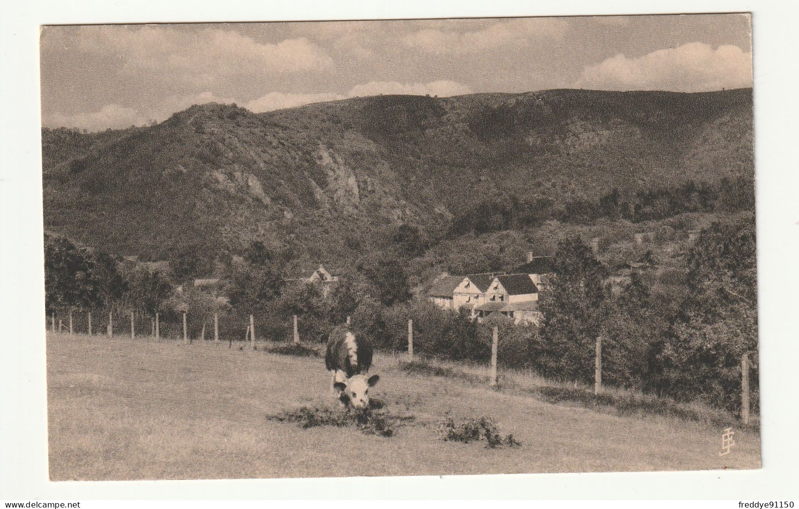 14 . CLECY . Le Chalet De La  Vallée De  L'Orne Et Le Pain De Sucre  N°41 . Vaches Dans Le  Pré - Clécy