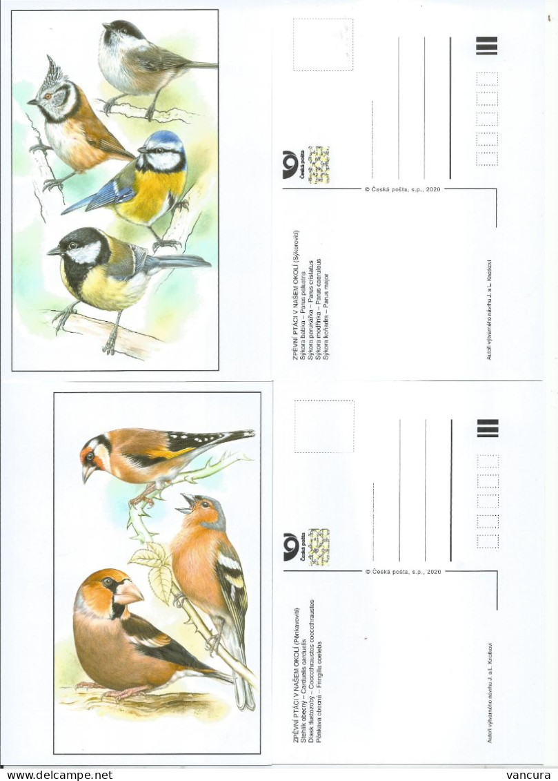 1067 - 8 Czech Republic 2020 Tits - Oiseaux