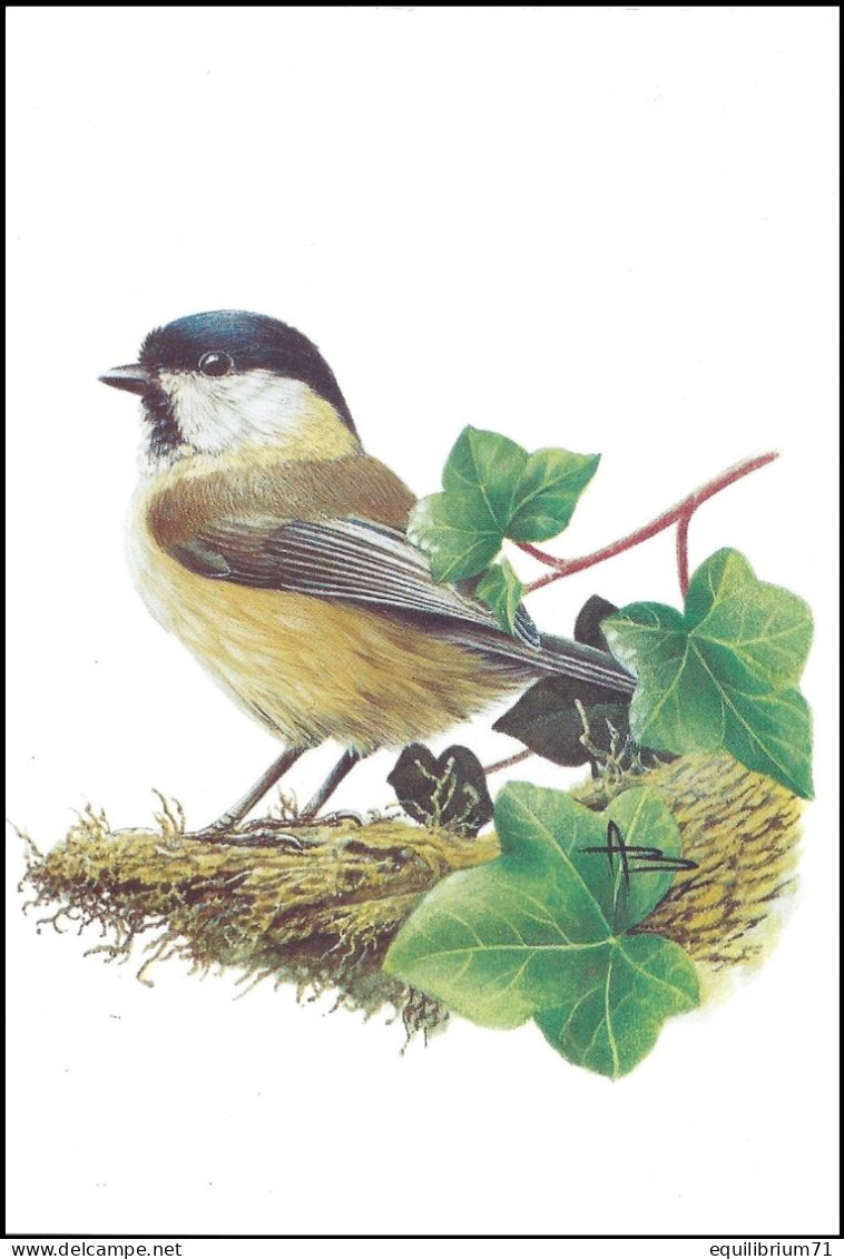 CM/MK** - Mésange Boréale / Wilgenmees / Weidenmeise / Willow Tit - 1e TIRAGE JAUNE/1ste DRUK GEEL - BUZIN - 1985-.. Birds (Buzin)