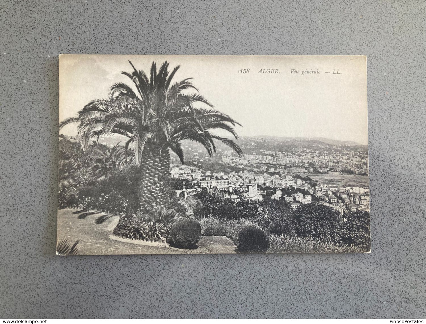 Alger - Vue Gererale Carte Postale Postcard - Alger