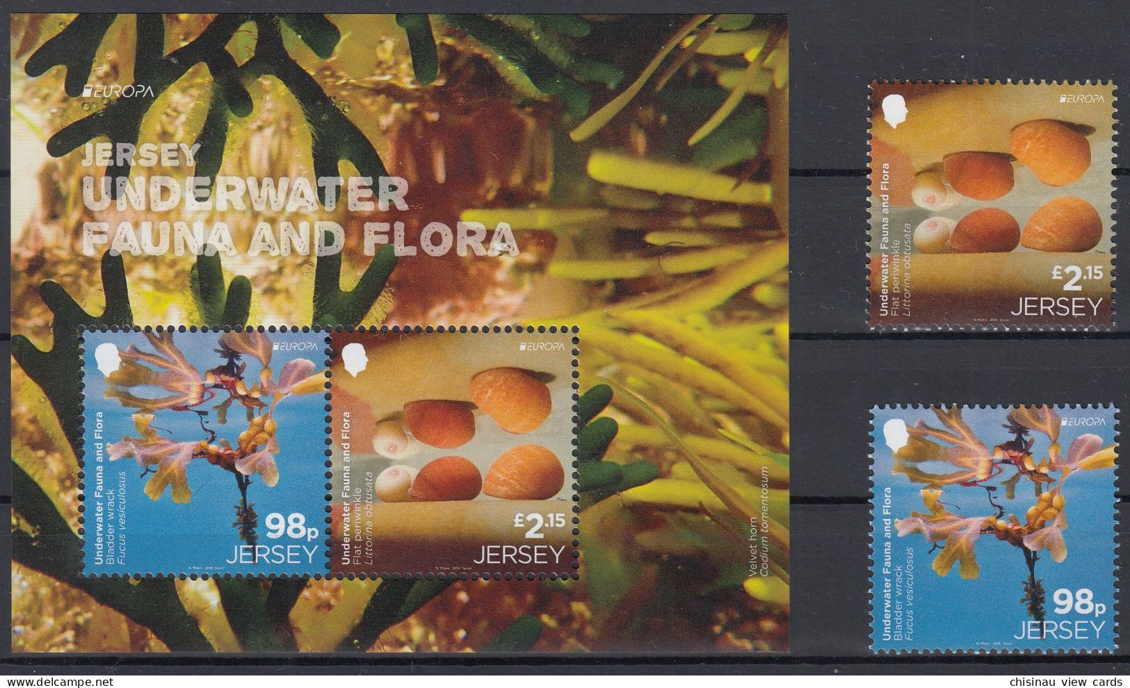 Jersey.2024 Europa CEPT.Underwater Flora And Fauna.2 St+bLOCK. MNH - 2024