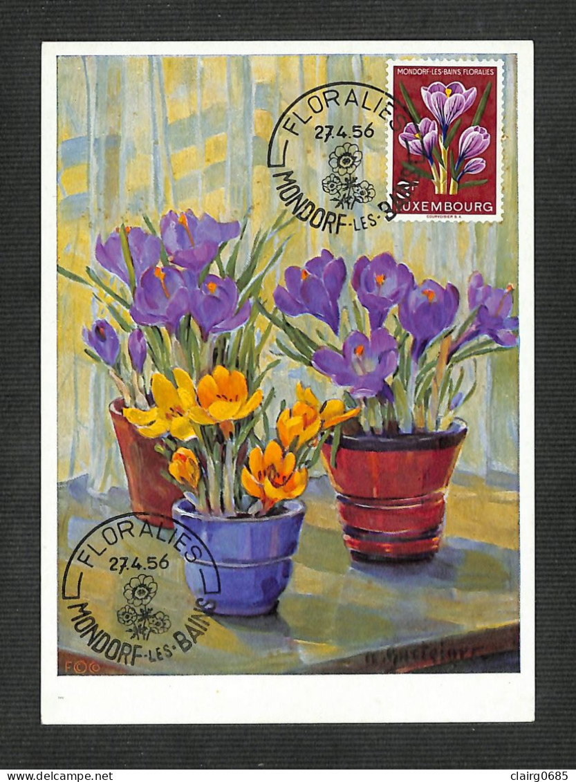 LUXEMBOURG - Carte MAXIMUM 1956 - FLORALIES - Krokus - Crocus - Cartes Maximum