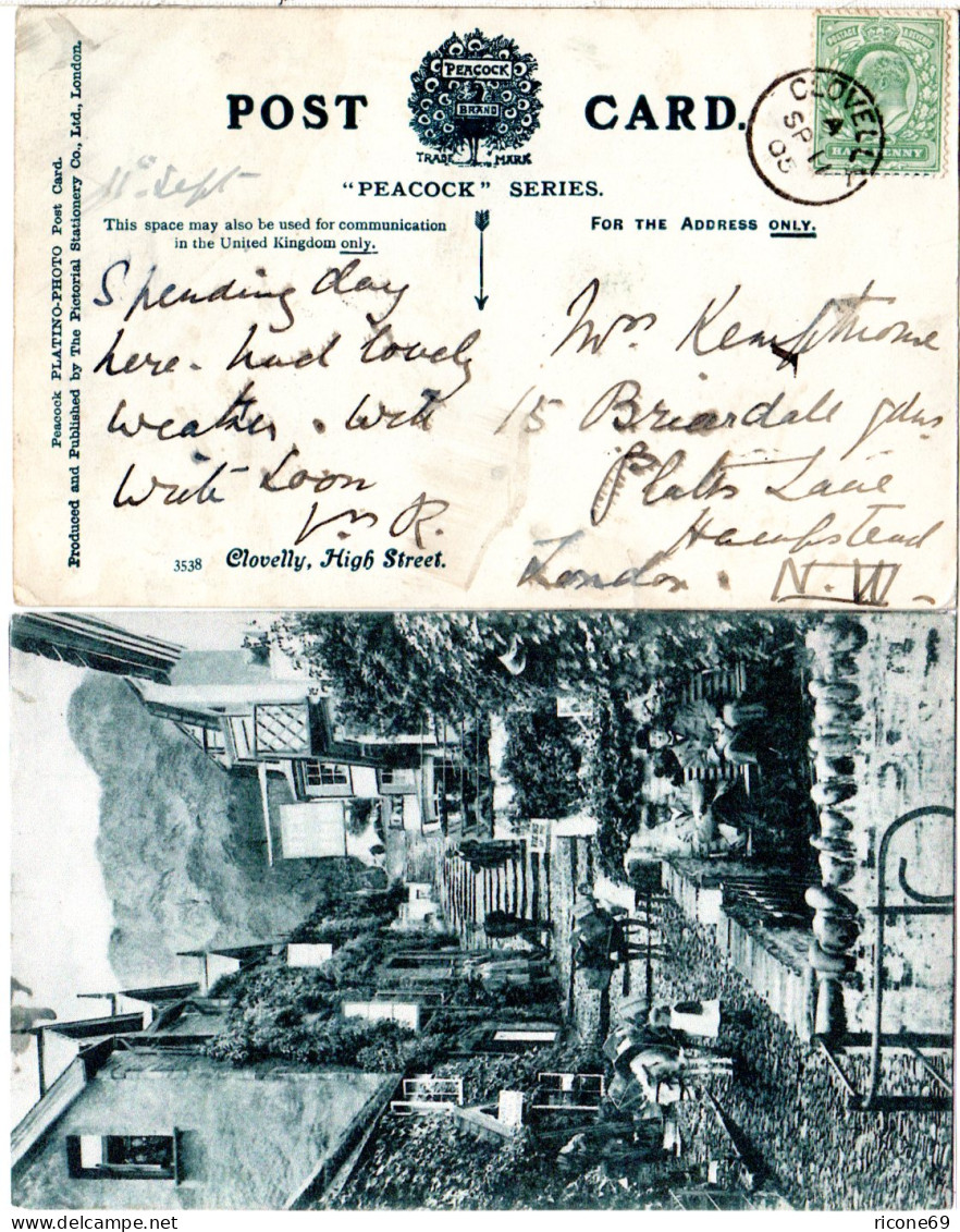 GB 1905, CLOVELLY Thimble Cds On Postcard With 1/2d - Other & Unclassified