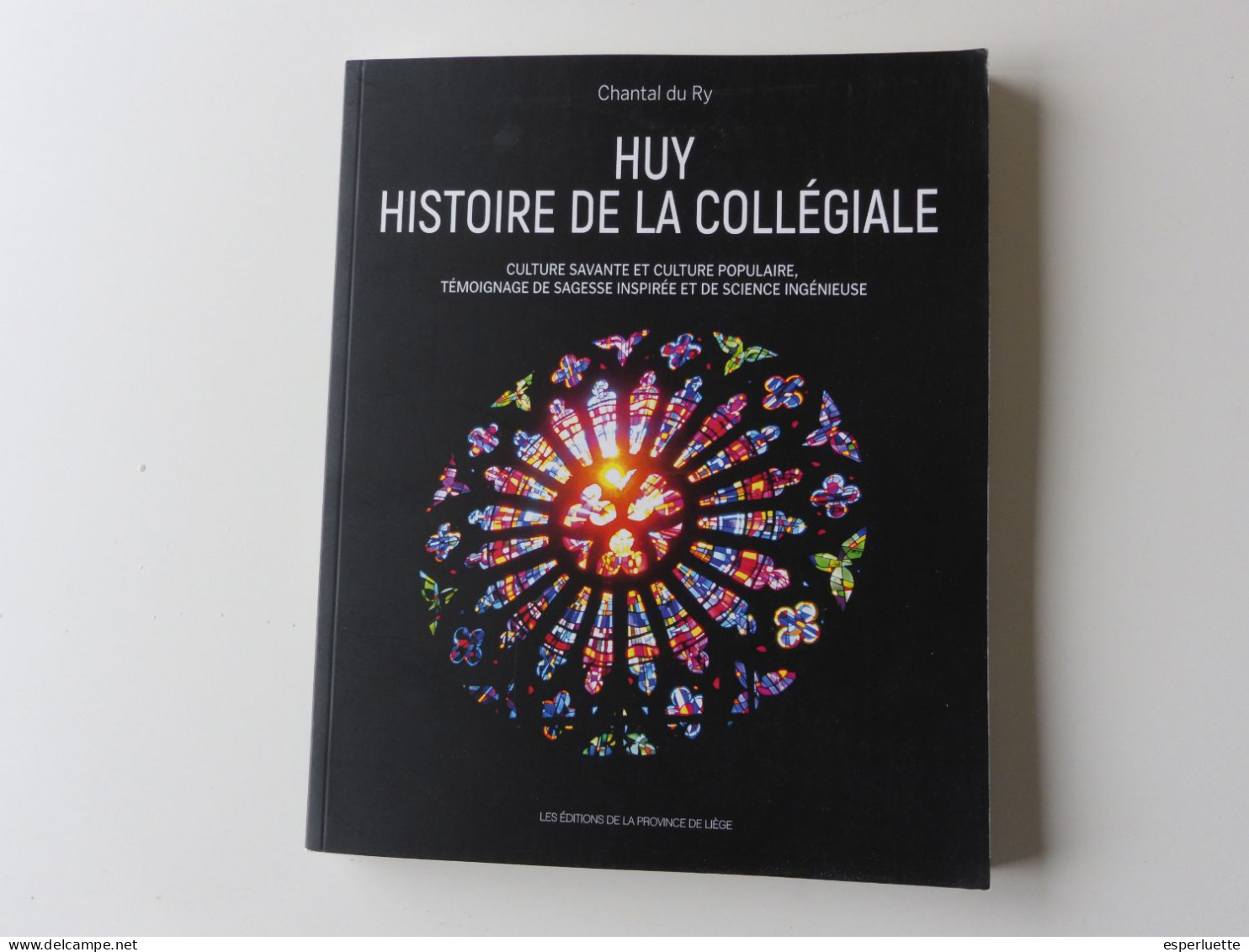 Huy Histoire De La Collégienne - Chantal Du Ry - Les Editions De La Province De Liège - Belgien