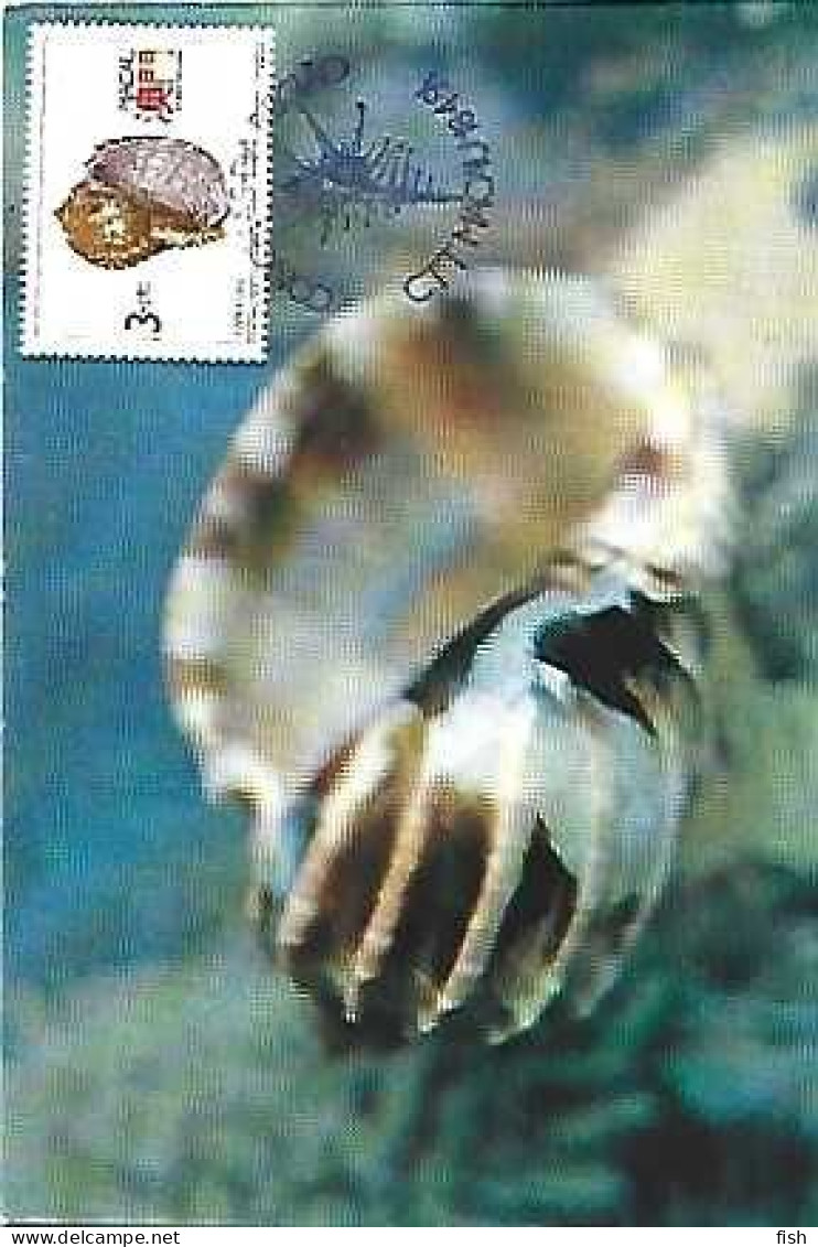 Macau & Maximun Card, Shell, Noble Harp, Macau 1991 (686) - Pescados Y Crustáceos