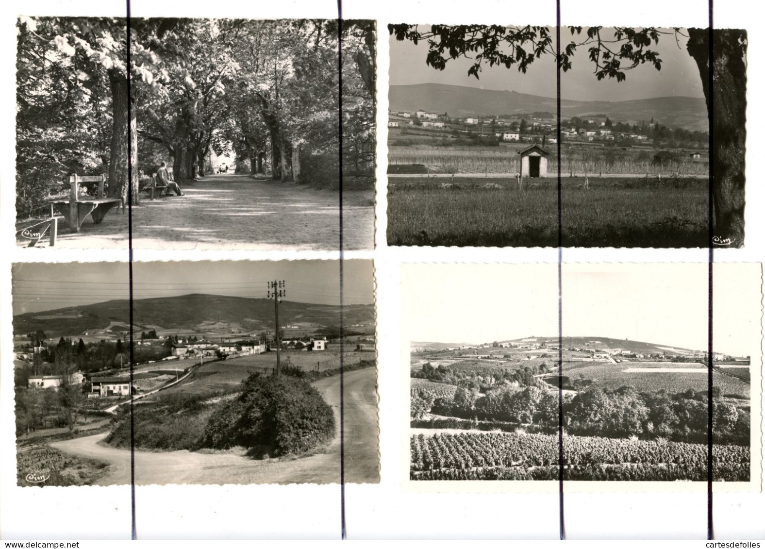 8 CPSM. PF. Rhône. D69. Villié-Morgon . Place Fontaine, Grande Rue, Vue Générale, Hôtel Du PARC Et CHAGNY , Avenue - Villie Morgon