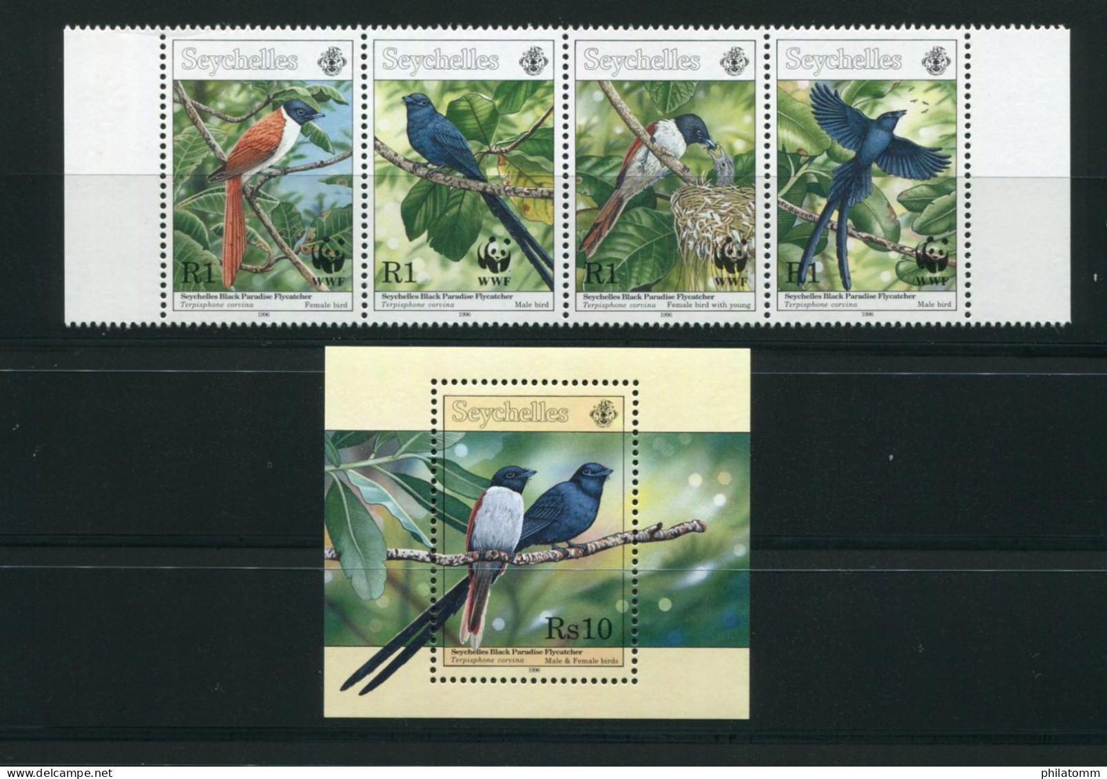 WWF - Seychellen - Block Nr. 38 U. Mi.Nr. 798 / 801 - "Seychellen-Paradiesschnäpper" ** / MNH (aus Dem Jahr 1996) - Neufs