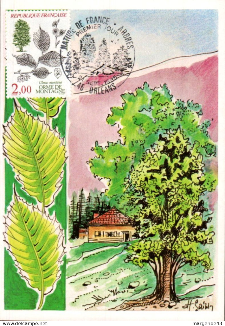 CARTE MAXIMUM 1985 ARBRE ORME DE MONTAGNE - 1980-1989