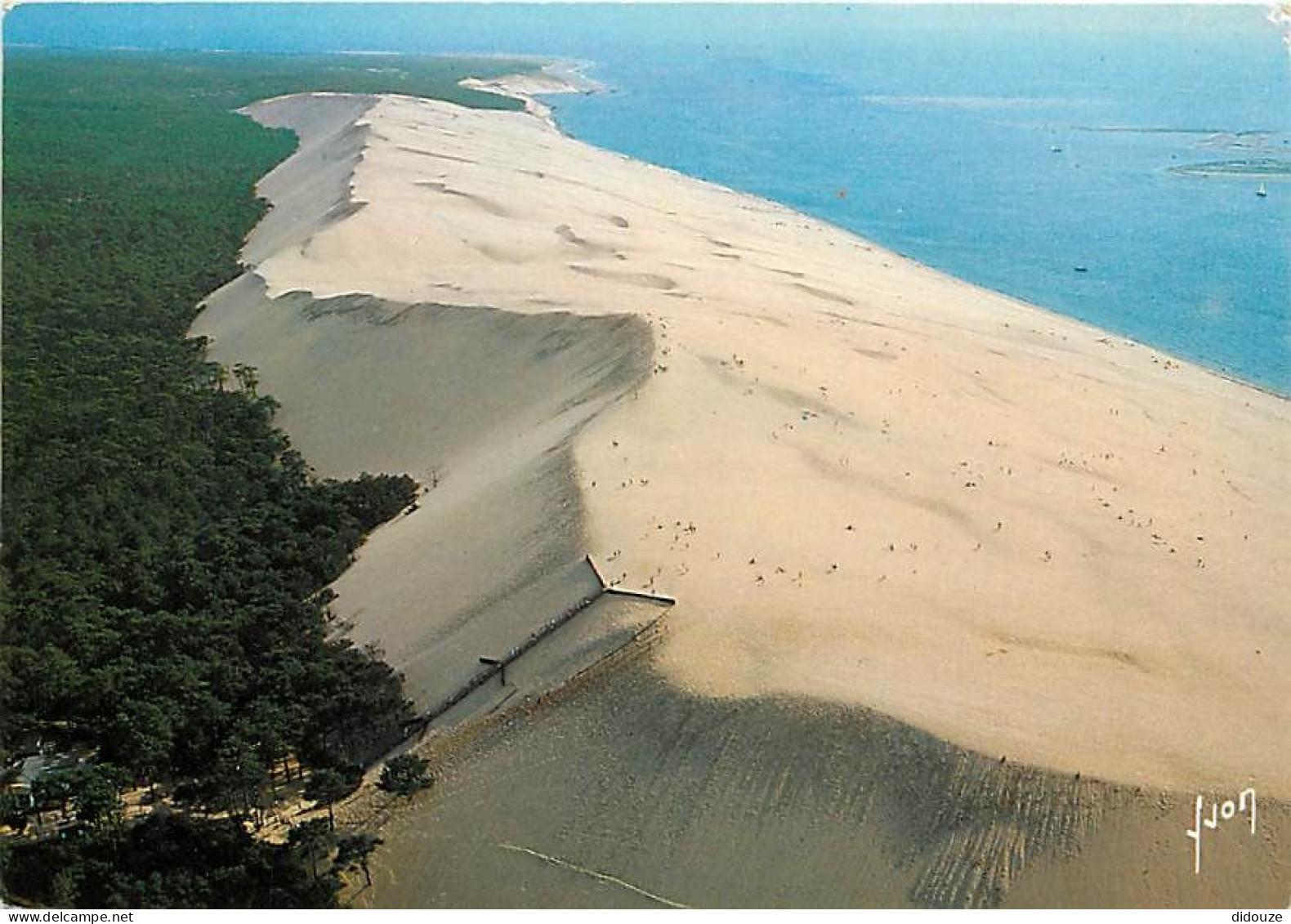 33 - Dune Du Pyla - Vue Aérienne - Bassin D'Arcachon - CPM - Voir Scans Recto-Verso - Autres & Non Classés