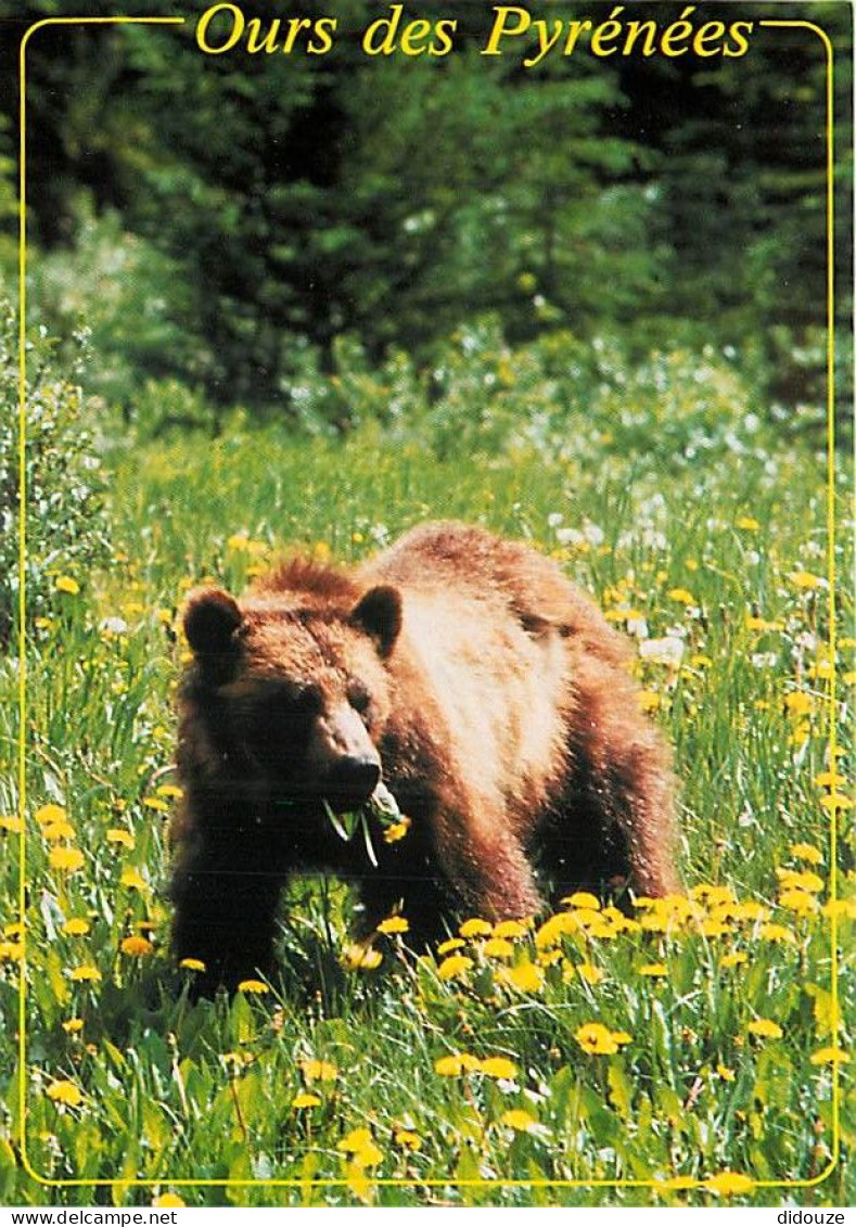 Animaux - Ours - Ours Des Pyrénées - Bear - CPM - Carte Neuve - Voir Scans Recto-Verso - Osos