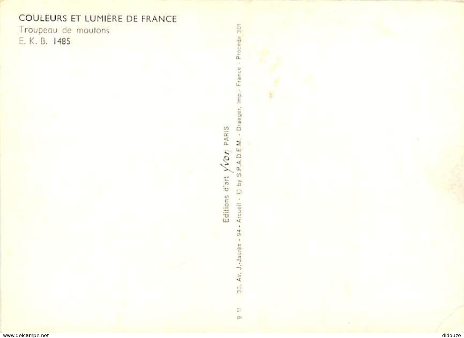 Animaux - Moutons - Troupeau De Moutons - CPM - Etat Pli Visible - Voir Scans Recto-Verso - Other & Unclassified