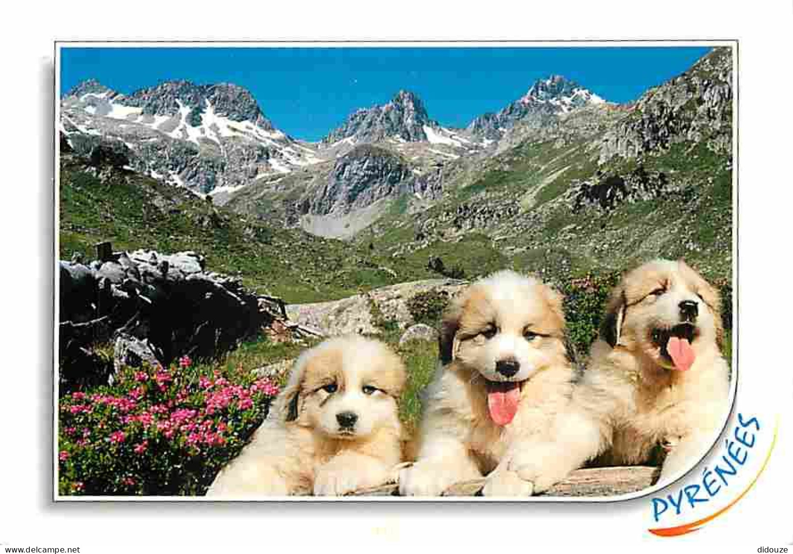 Animaux - Chiens - Chien Des Pyrénées - Montagnes - CPM - Voir Scans Recto-Verso - Chiens