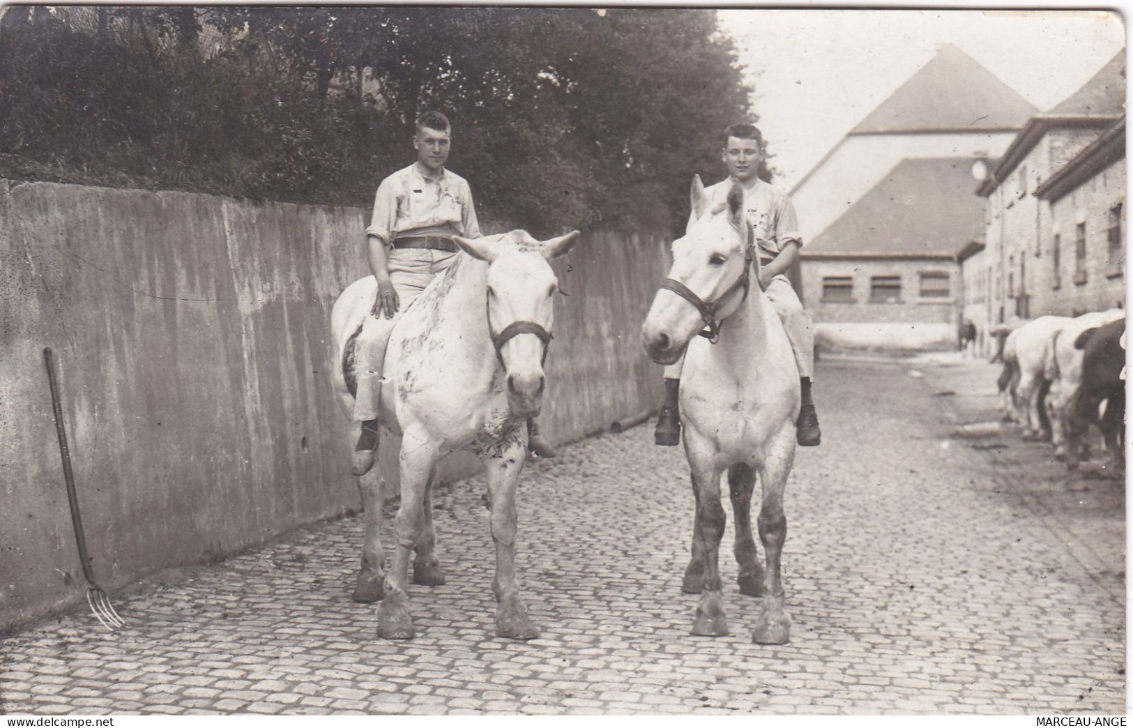 LOT DE CARTES POSTALES DE " TREVES " ,,militaria ,,surtout Cartes Photos - Sonstige & Ohne Zuordnung