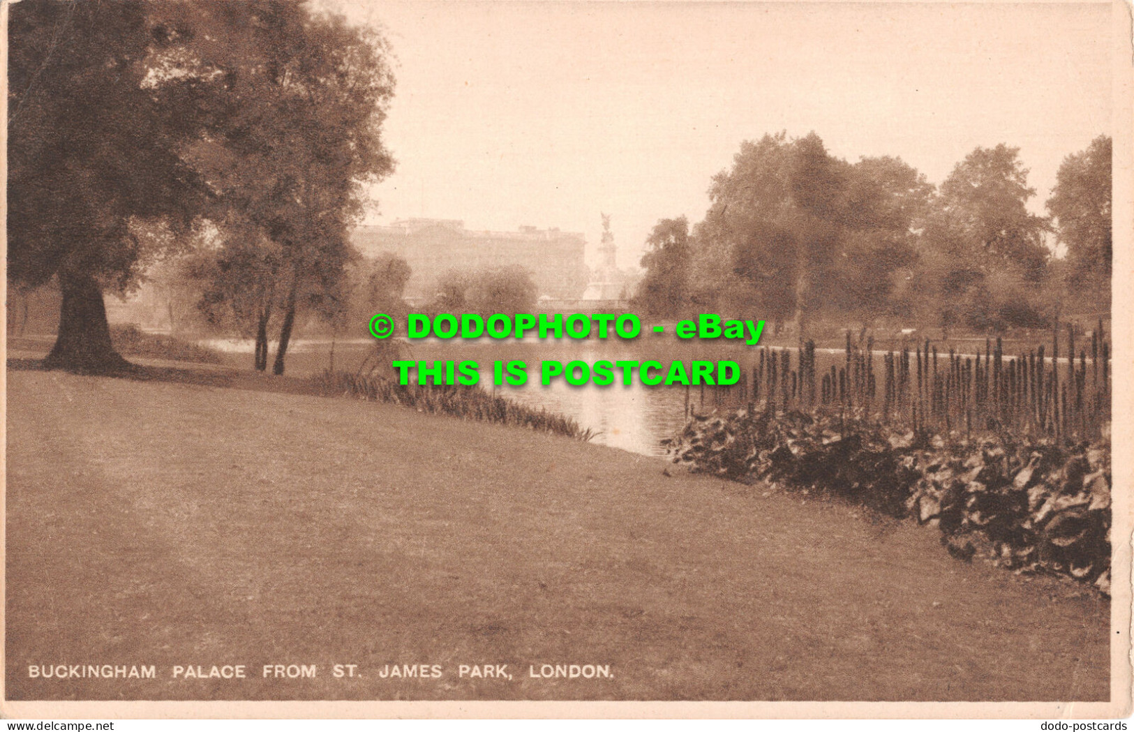 R514999 London. Buckingham Palace From St. James Park - Autres & Non Classés
