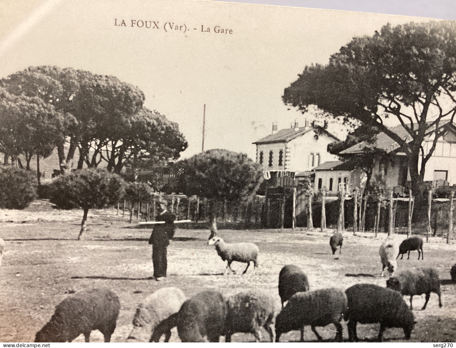 LA FOUX MOUTON Carte, Animée, Rare  LA CRAU LA MONACHE 1907 83 - LA FOUX Homme Avec Ses Animaux Moutons - La Crau