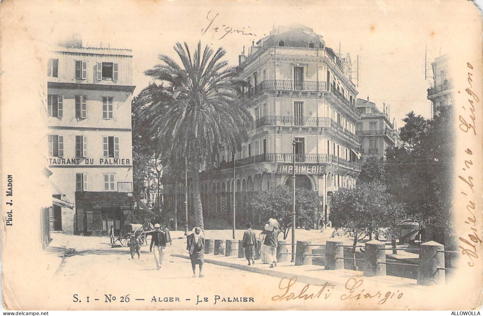 26991 " ALGER-LE PALMIER " ANIMÉ-VERA FOTO-CART.POST.  SPED.1905 - Algiers