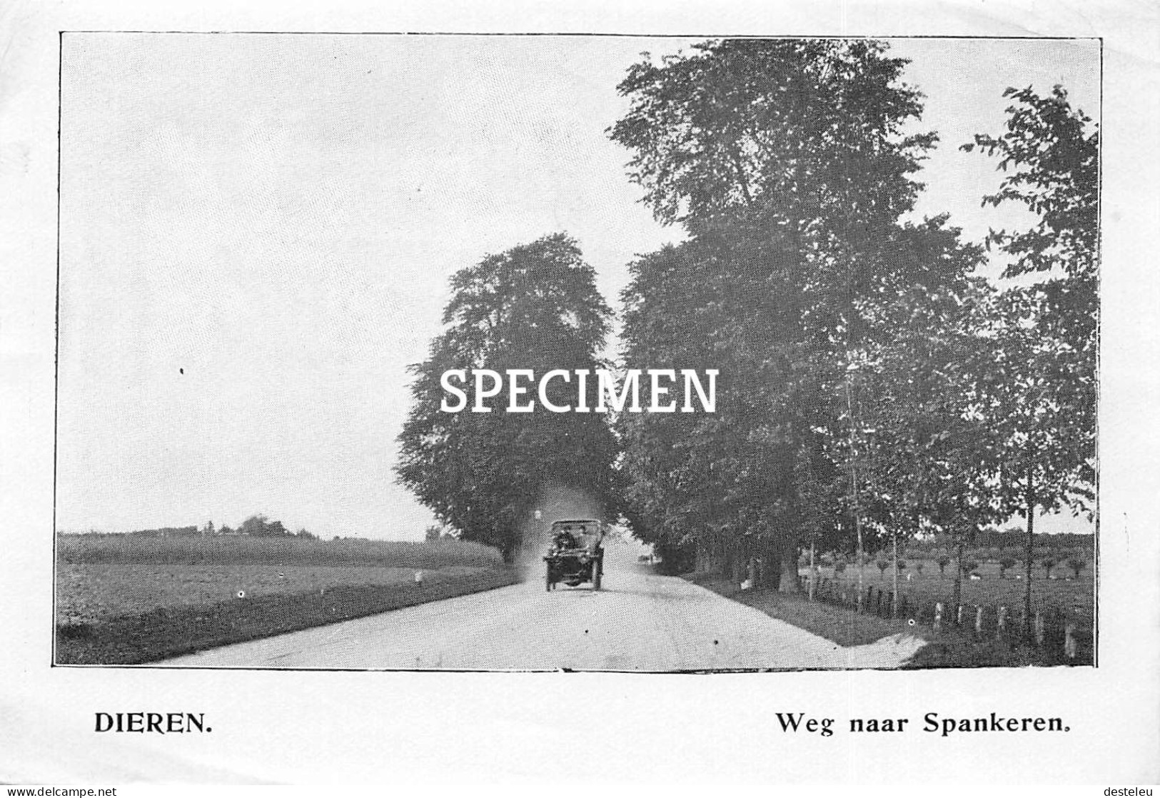 Prent - Weg Naar Spankeren - Dieren  - 8.5x12.5 Cm - Other & Unclassified