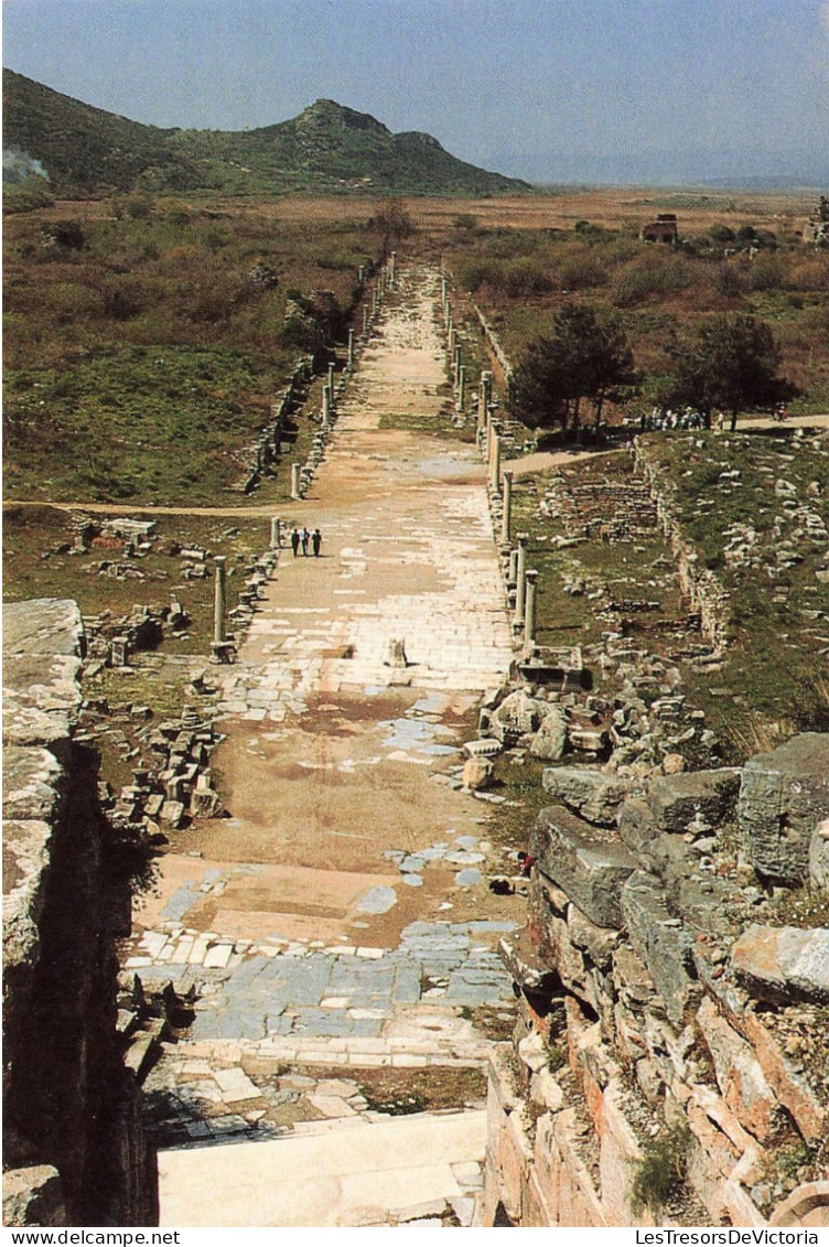 TURQUIE - Efes - Turkiye - Harbour (Arcadian) - Street - Vue Générale - Animé - Carte Postale Ancienne - Turchia