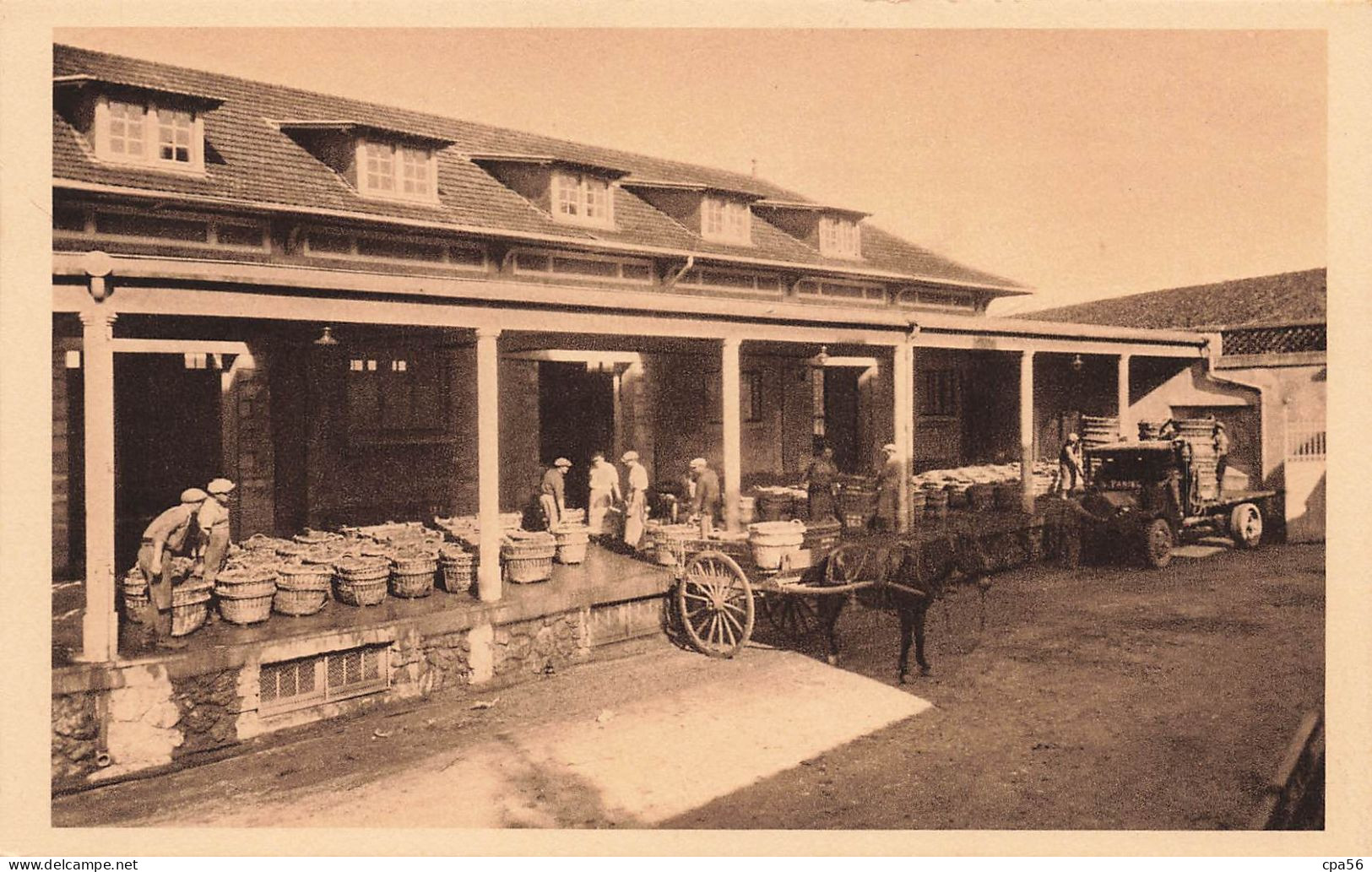 VIN de CHAMPAGNE - la série de 12 cartes LOUIS ROEDERER - complète - dans son étui - Verzenay - Reims