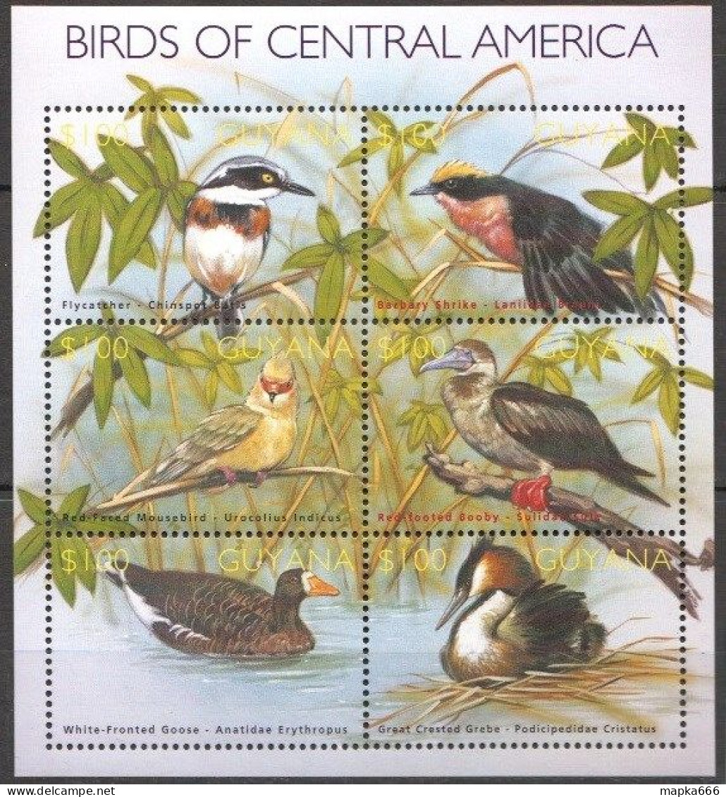 Ft212 2002 Guyana Birds Of Central America Fauna #7445-50 1Kb Mnh - Other & Unclassified