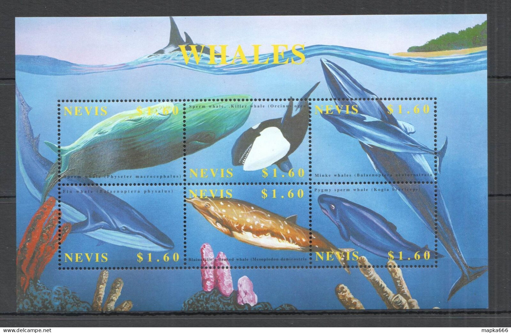 O0153 Nevis Fauna Fish & Marine Life Whales 1Kb Mnh - Vie Marine