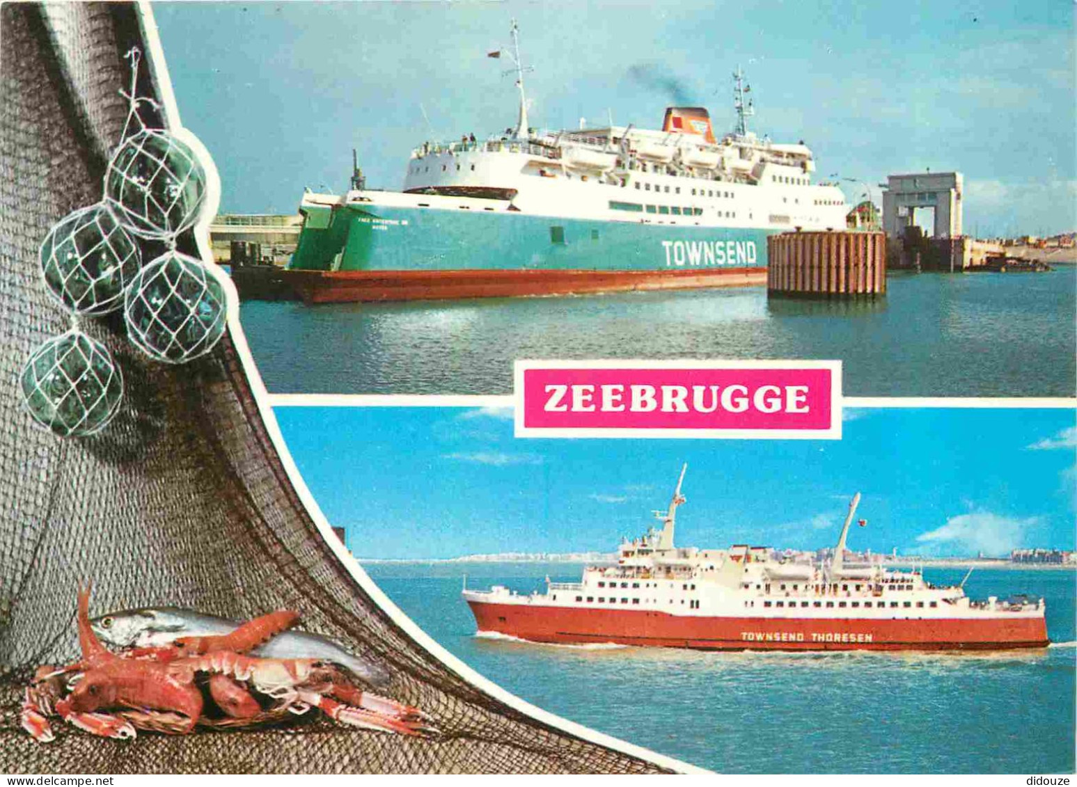 Bateaux - Paquebots - Zeebrugge - Towsend Thoresen - Multivues - CPM - Carte Neuve - Voir Scans Recto-Verso - Paquebots