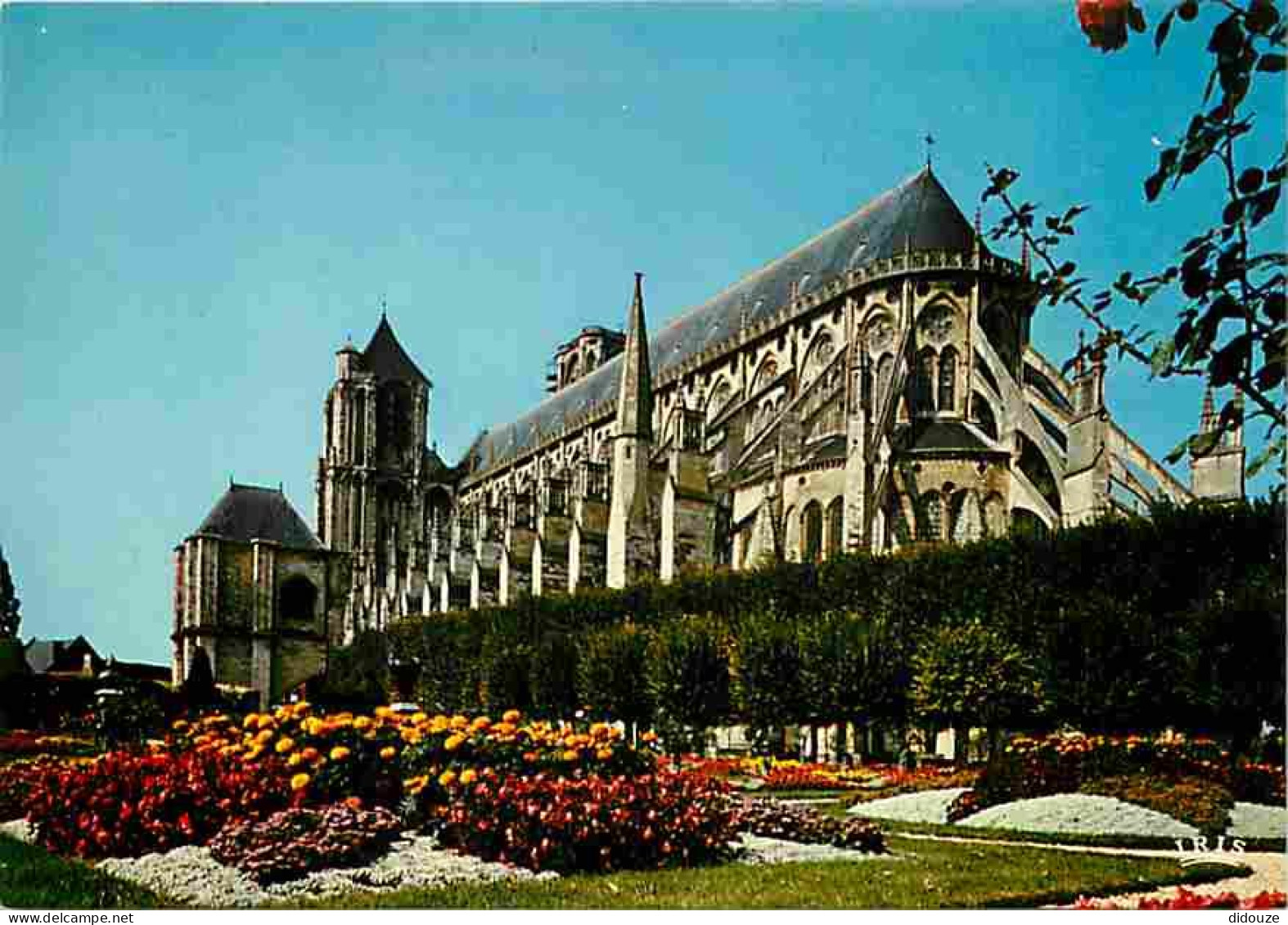 18 - Bourges - La Cathédrale Saint Etienne - Fleurs - Carte Neuve - CPM - Voir Scans Recto-Verso - Bourges