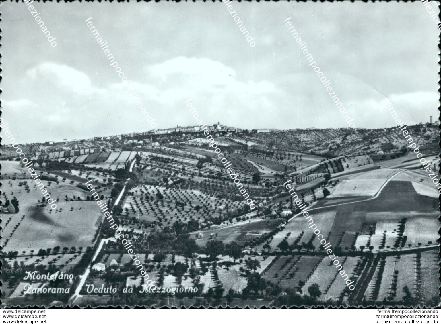 Bf523 Cartolina Montefano Veduto Da Mezzoggiorno Provincia Di Macerata - Macerata