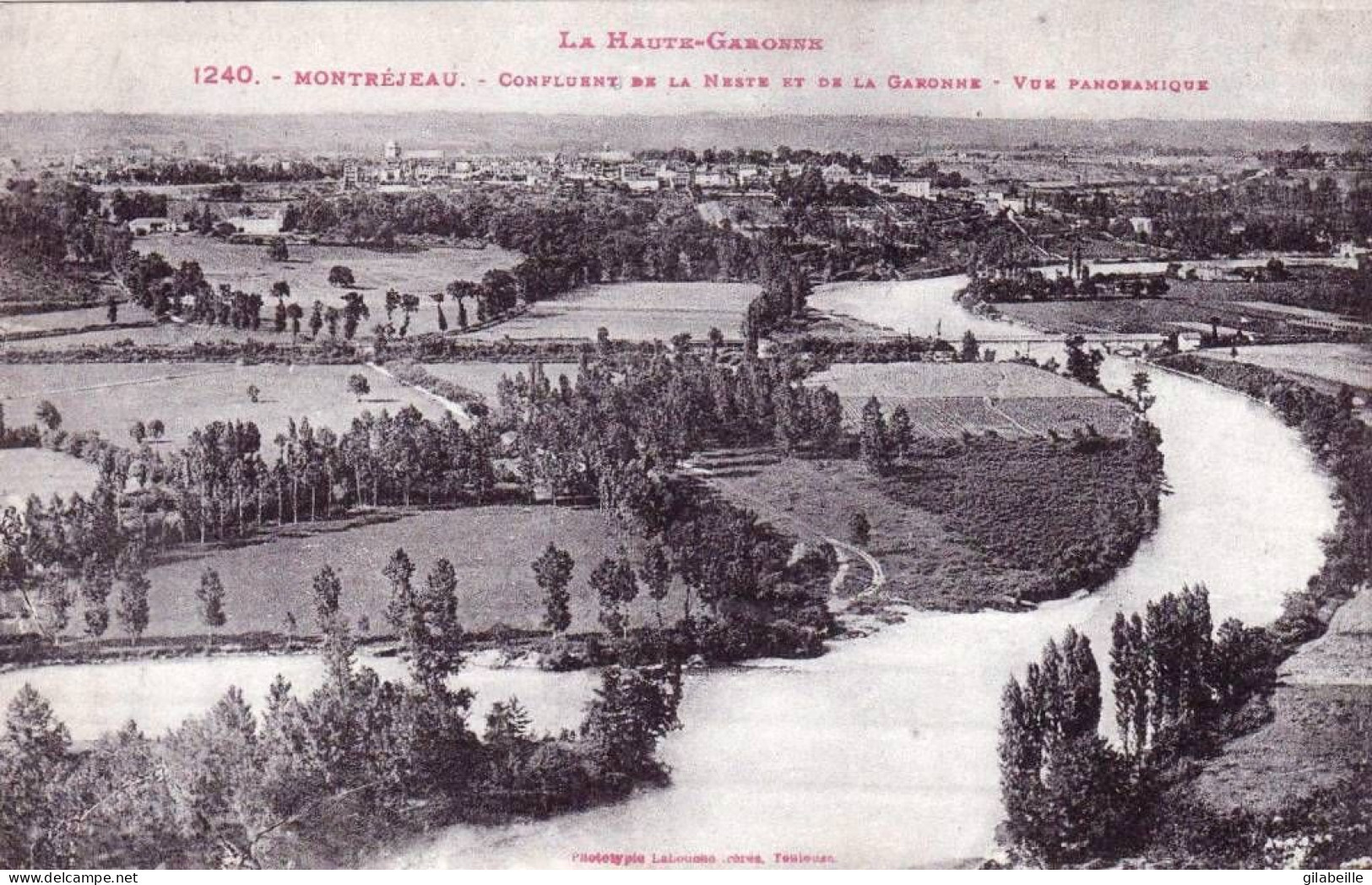 31 - Haute Garonne -  MONTREJEAU -  Confluent De La Neste Et De La Garonne - Montréjeau