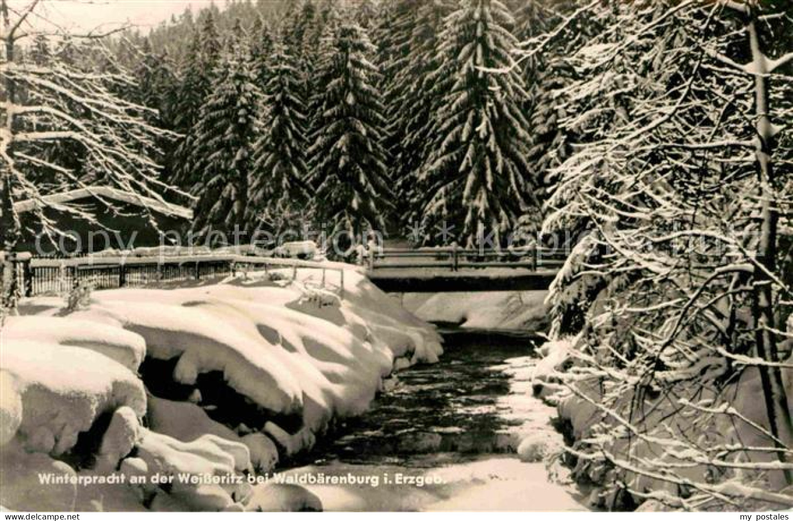 72634688 Waldbaerenburg Winter Weisseritz Altenberg - Altenberg