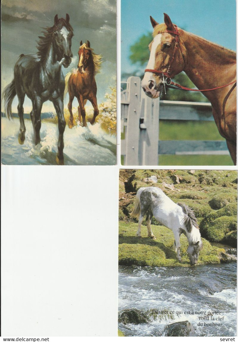 LOT DE 15 CARTES - Chevaux