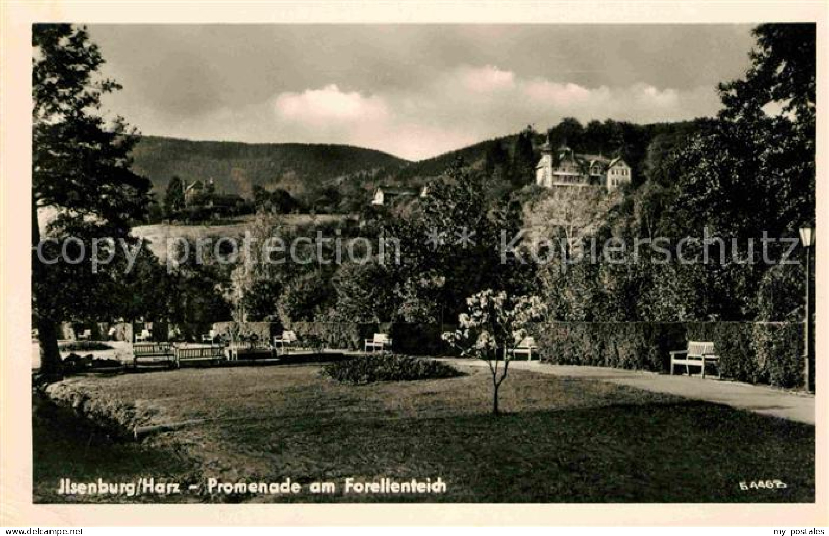 72634524 Ilsenburg Harz Promenade Forellenteich Ilsenburg Harz - Ilsenburg