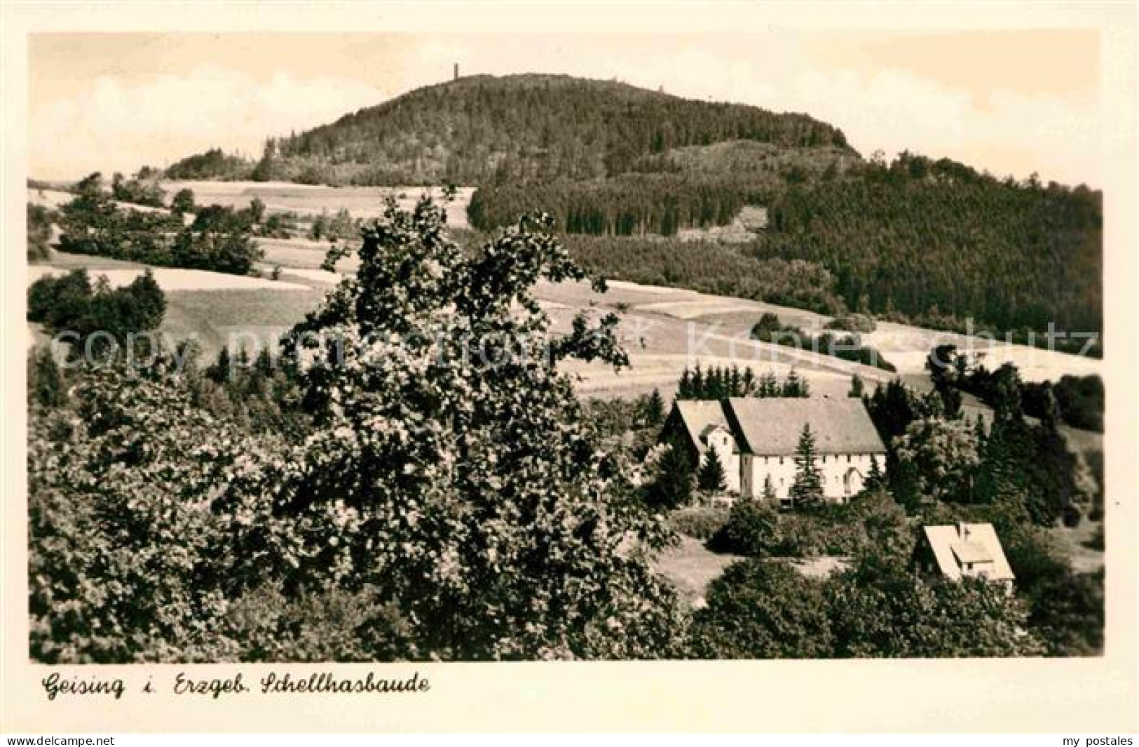 72634512 Geising Erzgebirge Schellhasbaude Geising Osterzgebirge - Geising