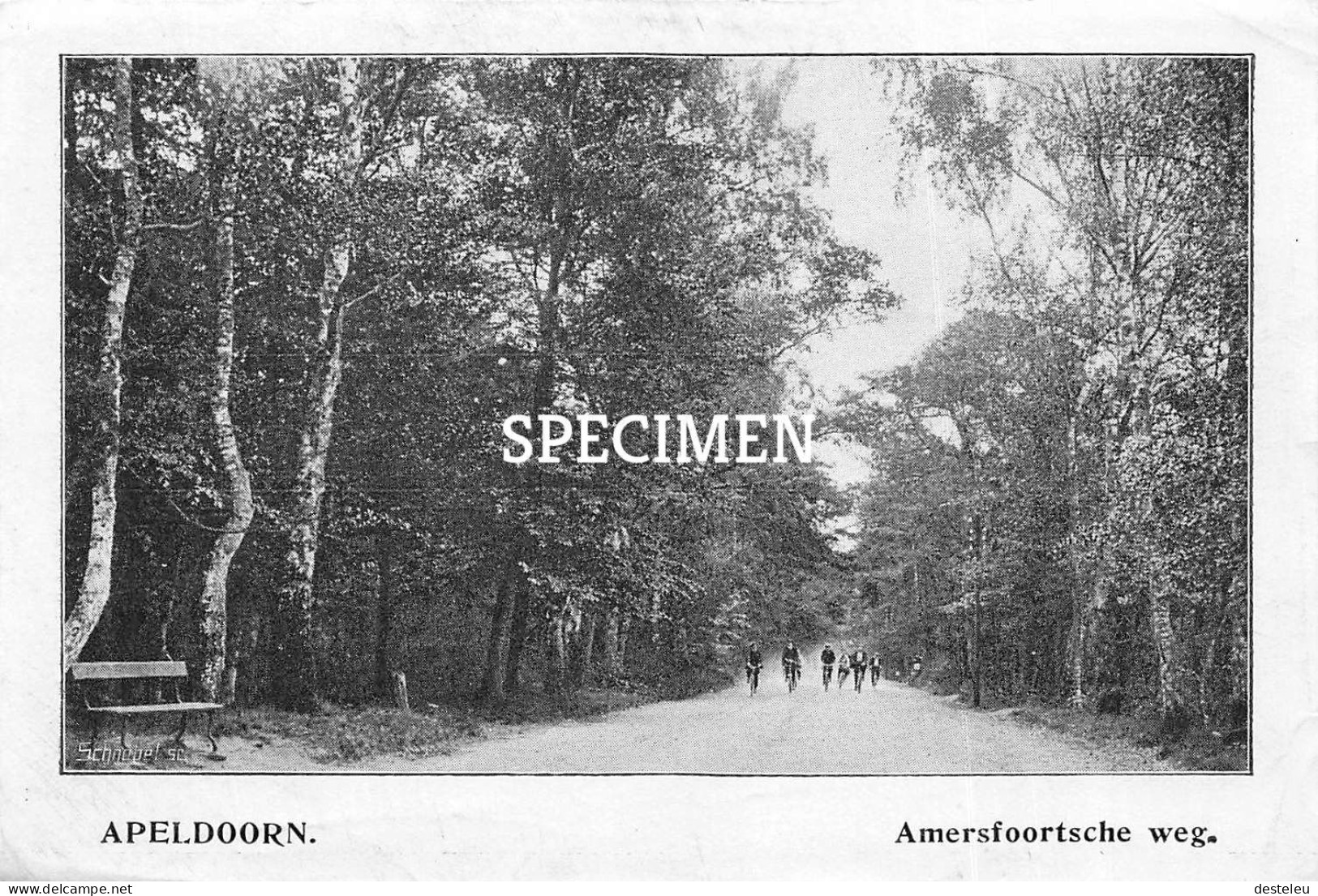 Prent - Amerfoortsche Weg - Apeldoorn - 8.5x12.5 Cm - Apeldoorn