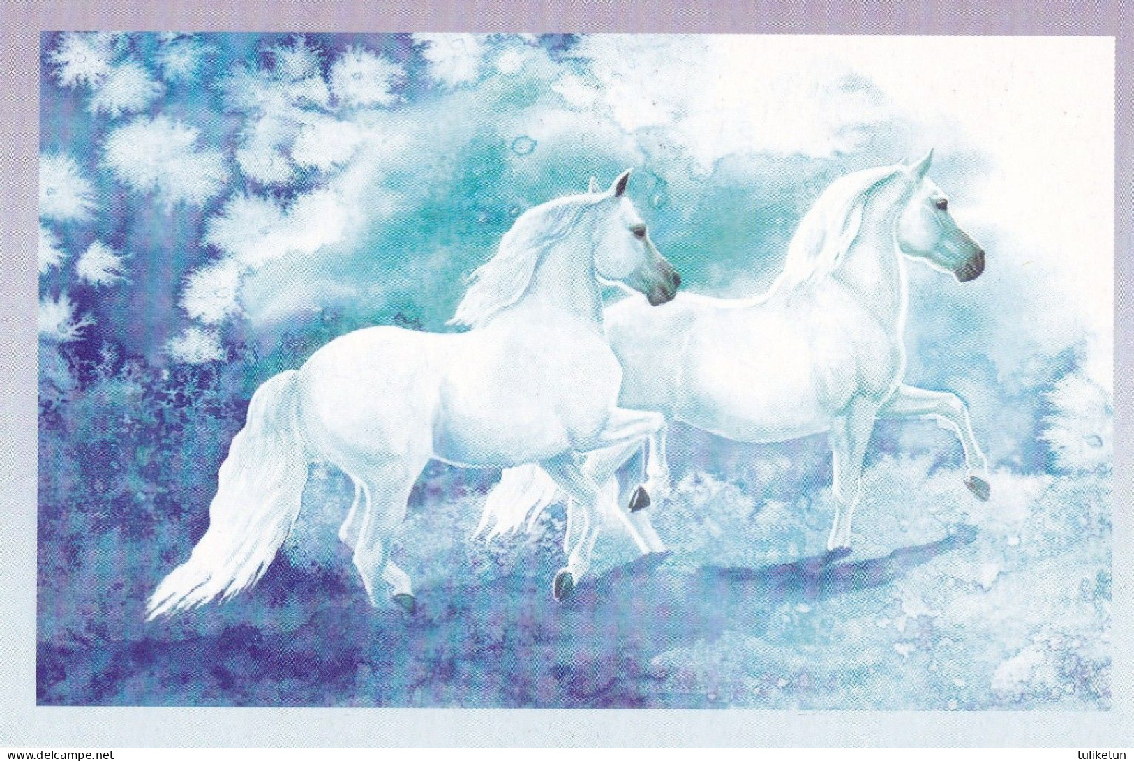 Horse - Cheval - Paard - Pferd - Cavallo - Cavalo - Caballo - Häst - 6 Mini Postcards - Villivarsa - Wild Foal - Chevaux