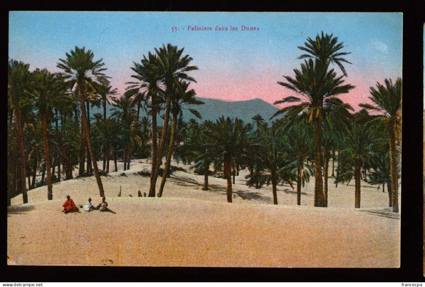 971 - TUNISIE - Palmiers Dans Les Dunes - Tunisia