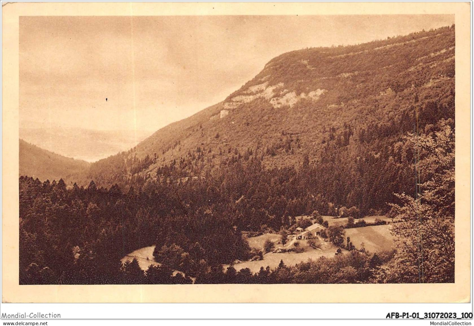 AFBP1-01-0051 - OYONNAX  - Ferme Du Grand Pré - Vue Du Perret - Oyonnax