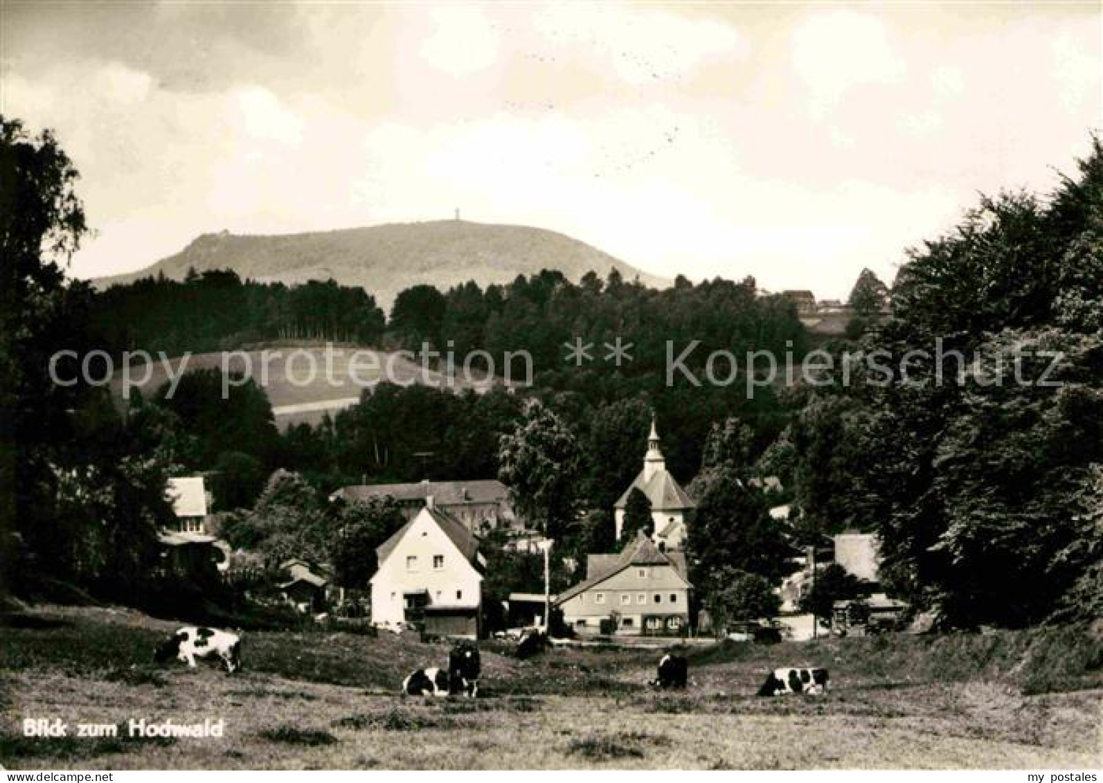 72634326 Lueckendorf Blick Zum Hochwald Kurort Oybin - Oybin