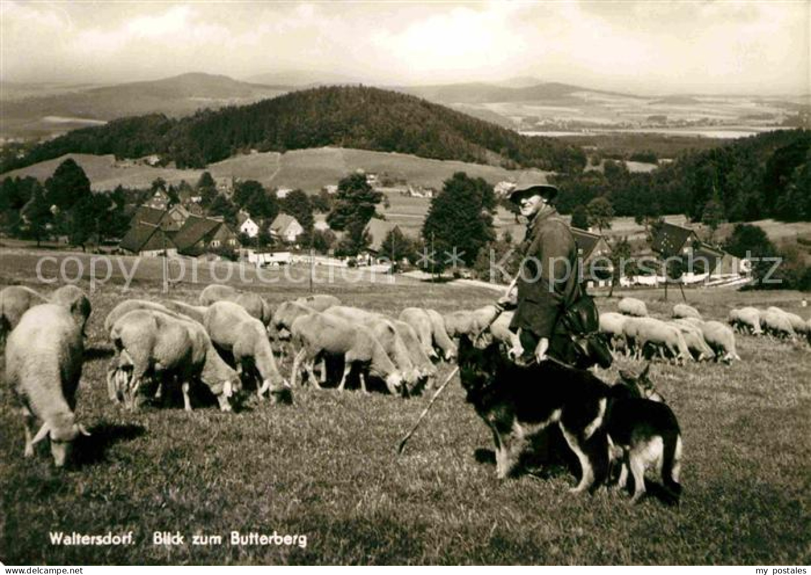 72634231 Waltersdorf Bad Blick Zum Butterberg Waltersdorf Bad - Other & Unclassified