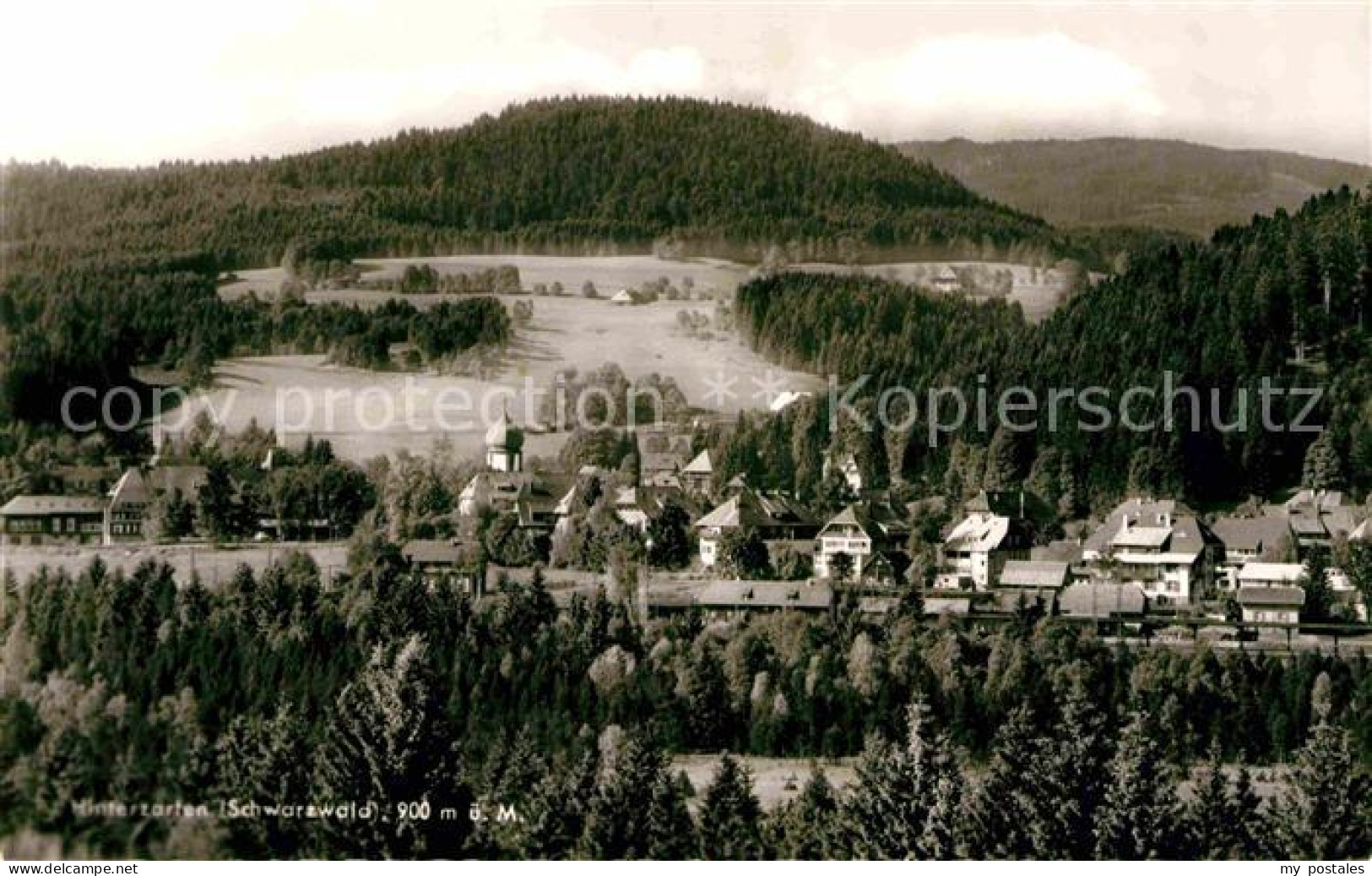 72633990 Hinterzarten Panorama Hinterzarten - Hinterzarten