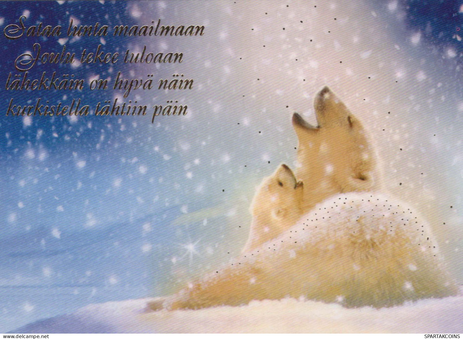 NASCERE Animale Vintage Cartolina CPSM #PBS312.A - Bären