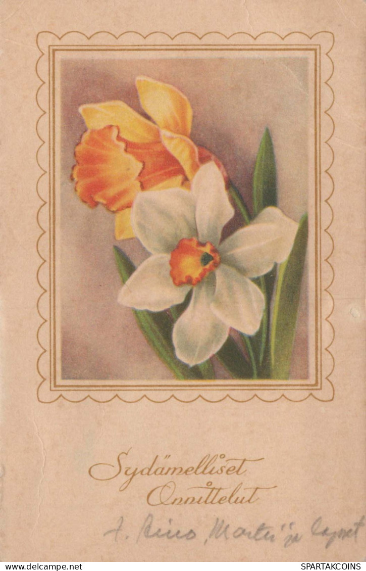 FLOWERS Vintage Ansichtskarte Postkarte CPA #PKE660.A - Fleurs