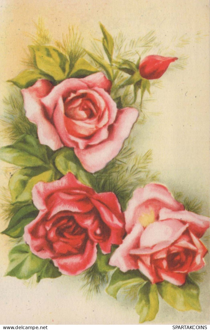 FLOWERS Vintage Ansichtskarte Postkarte CPA #PKE630.A - Fleurs
