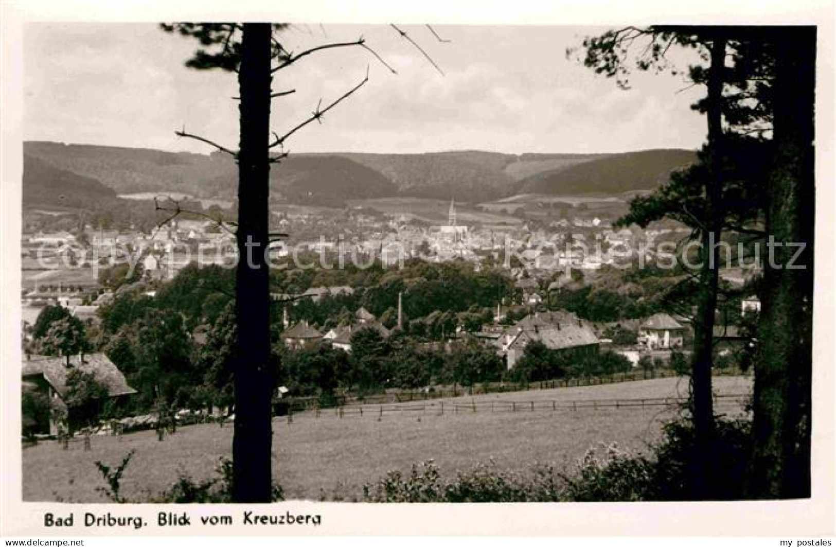 72632997 Bad Driburg Panorama Blick Vom Kreuzberg Alhausen - Bad Driburg