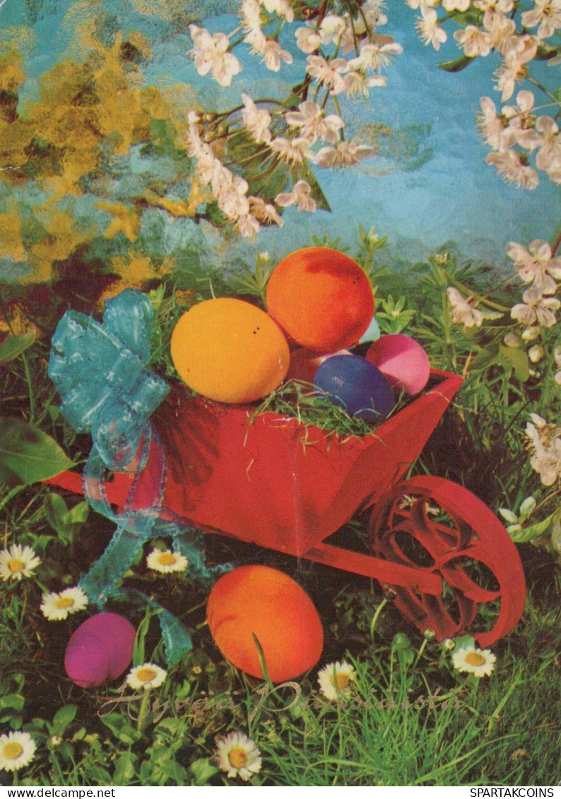 PASQUA UOVO Vintage Cartolina CPSM #PBO181.IT - Ostern