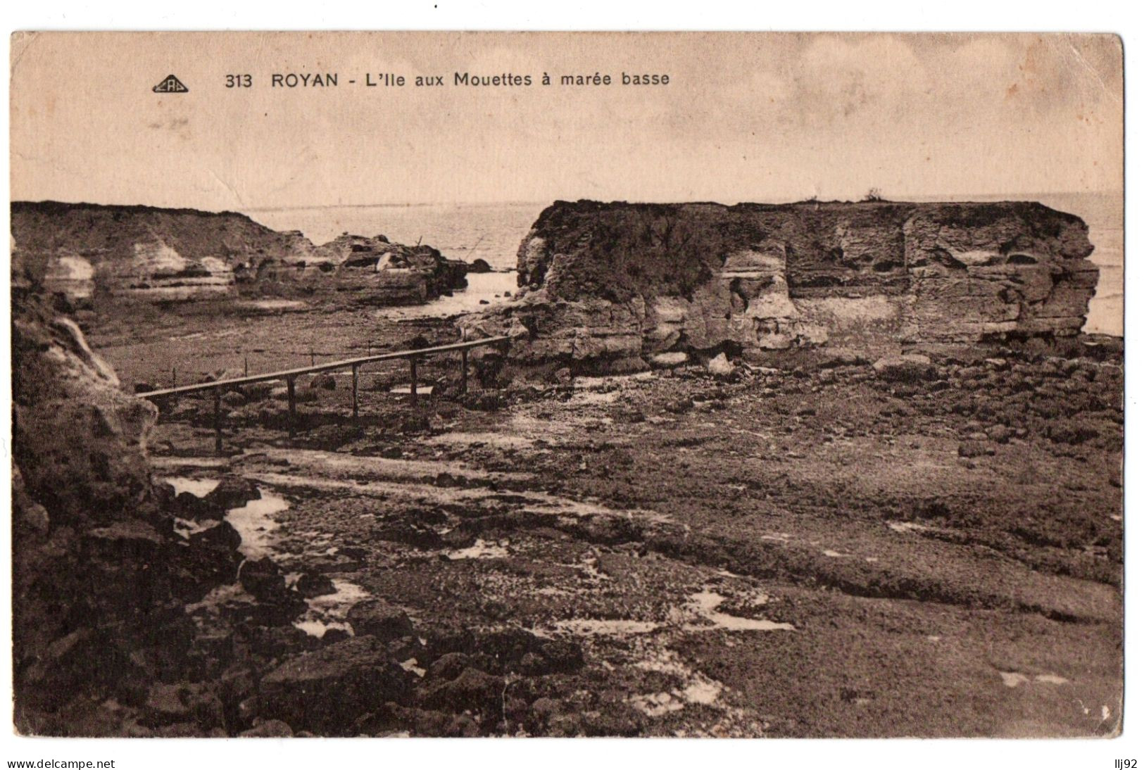 CPA 17 - ROYAN (Charente Maritime) - 313. L'Ile Aux Mouettes à Marée Basse - Royan