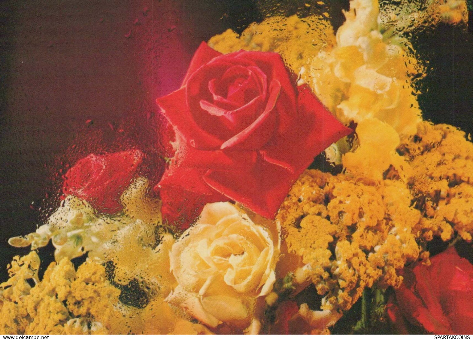 FLORES Vintage Tarjeta Postal CPSM #PAS169.ES - Blumen