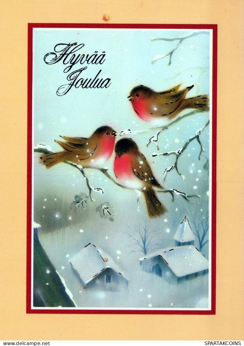 PÁJARO Animales Vintage Tarjeta Postal CPSM #PAM881.ES - Birds