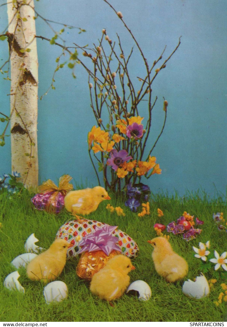 OSTERN HUHN EI Vintage Ansichtskarte Postkarte CPSM #PBO873.DE - Ostern