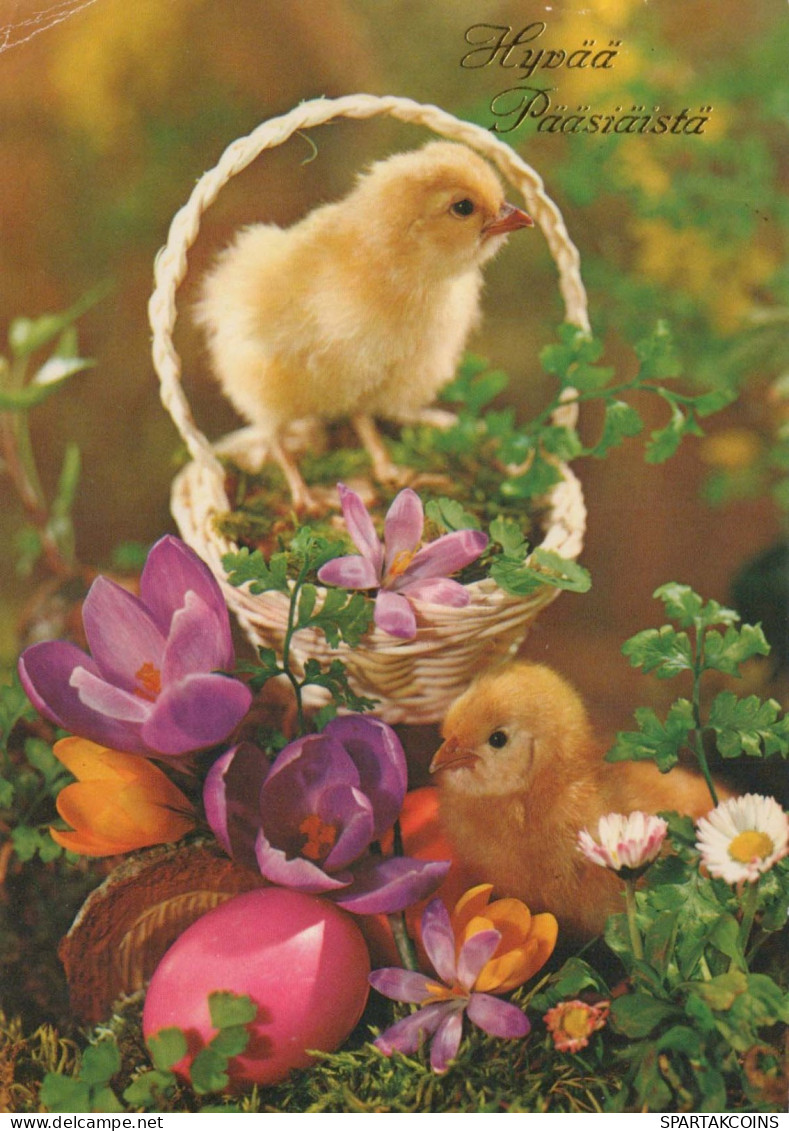 OSTERN HUHN EI Vintage Ansichtskarte Postkarte CPSM #PBO685.DE - Ostern